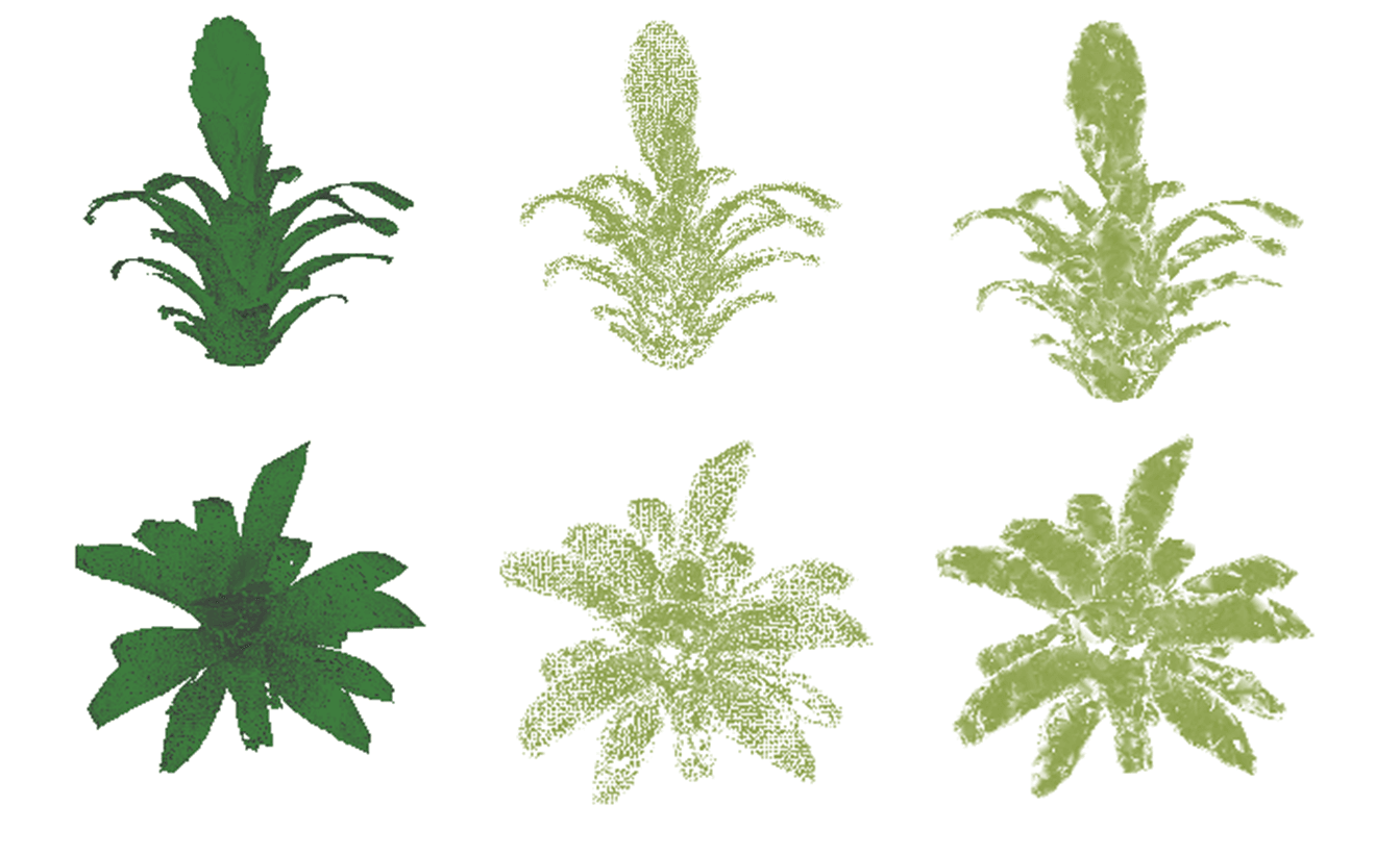 Autonomous Active Vision Systems for High-Fidelity 3D Plant Reconstruction